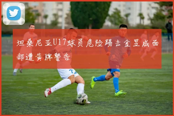 坦桑尼亚U17球员危险踢击金昱成面部遭黄牌警告